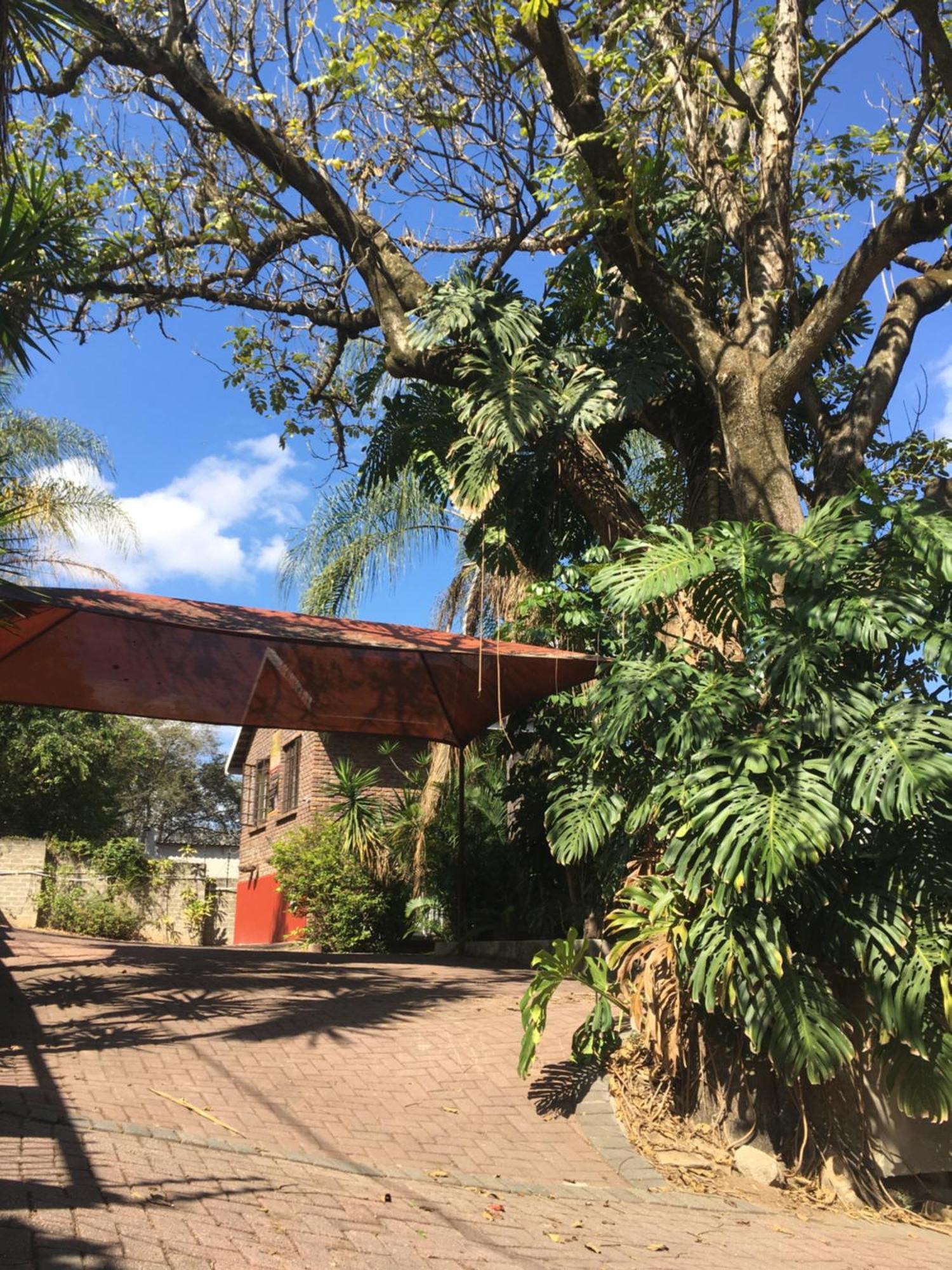 Old Vic Travellers Inn Nelspruit نيلسبروت المظهر الخارجي الصورة